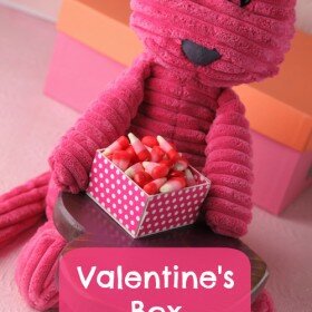 valentine's day box